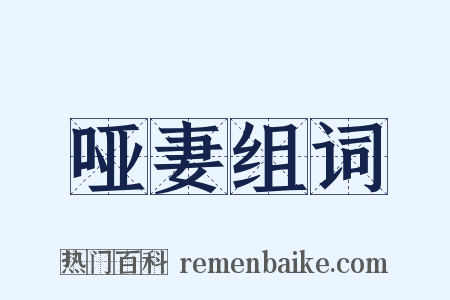 哑妻组词是什么意思的图片